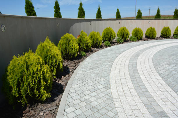 Best Driveway Paving Contractor  in Ypsilanti, MI